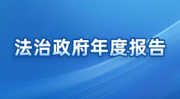 法治政府年度報告